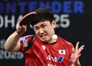 开云体育在线-德国乒乓球队完胜英国乒乓球队，张本智和完成帽子戏法