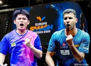 开云体育登录-瑞典乒乓球队鏖战法国乒乓球队，许昕关键制胜的简单介绍