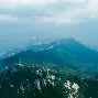 Rogue血洗WBG，Lehends惊艳世界的简单介绍