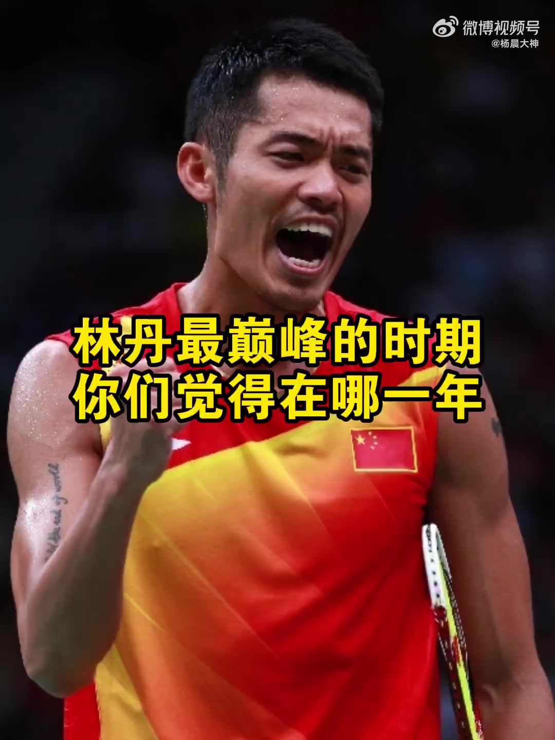 中国羽毛球队横扫印尼羽毛球队，林丹打破历史纪录的简单介绍