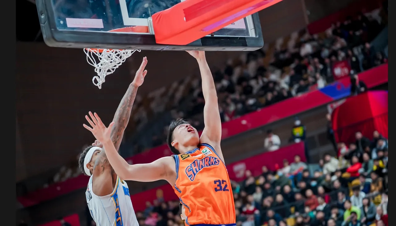 上海队表现出色，轻松战胜对手的简单介绍