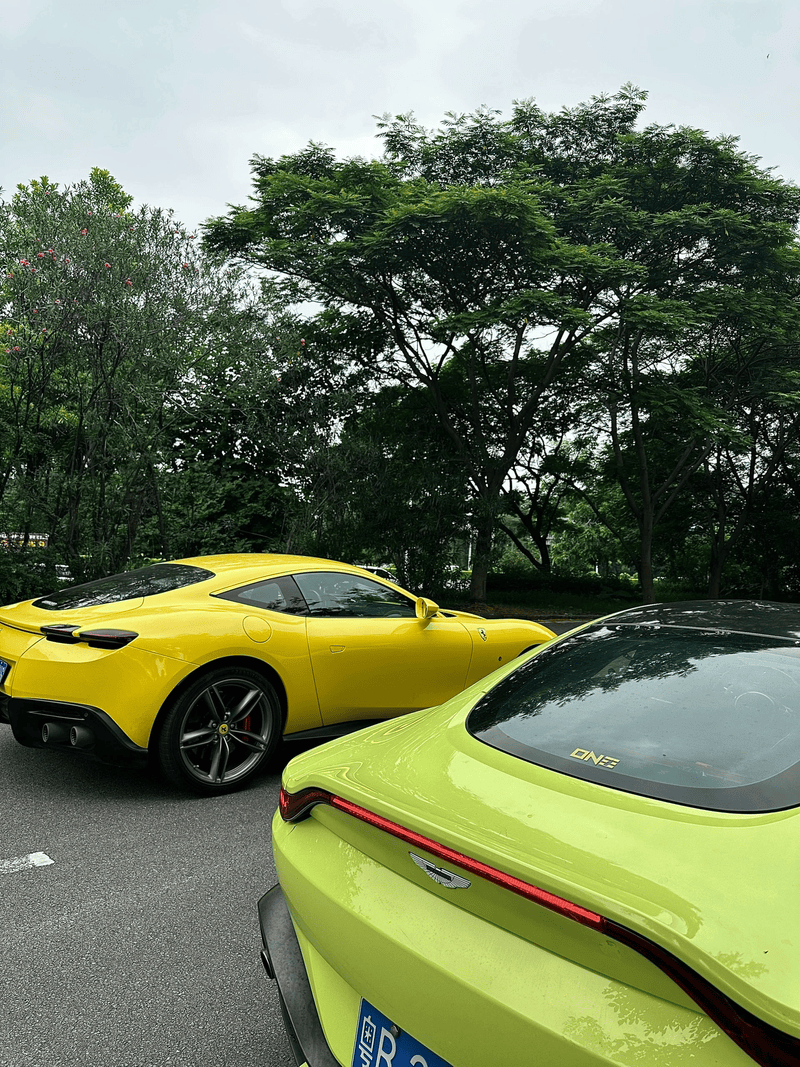 阿斯顿马丁轻取法拉利，诺里斯扛起全队的简单介绍