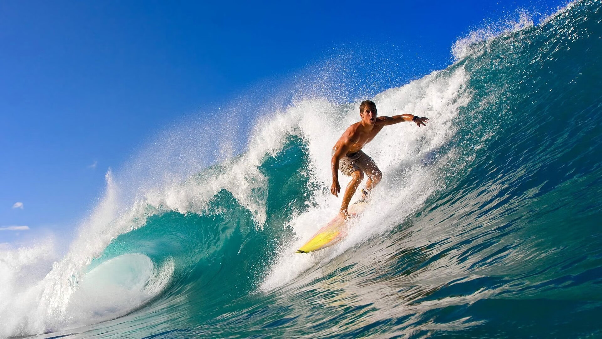 (拓展思维版)